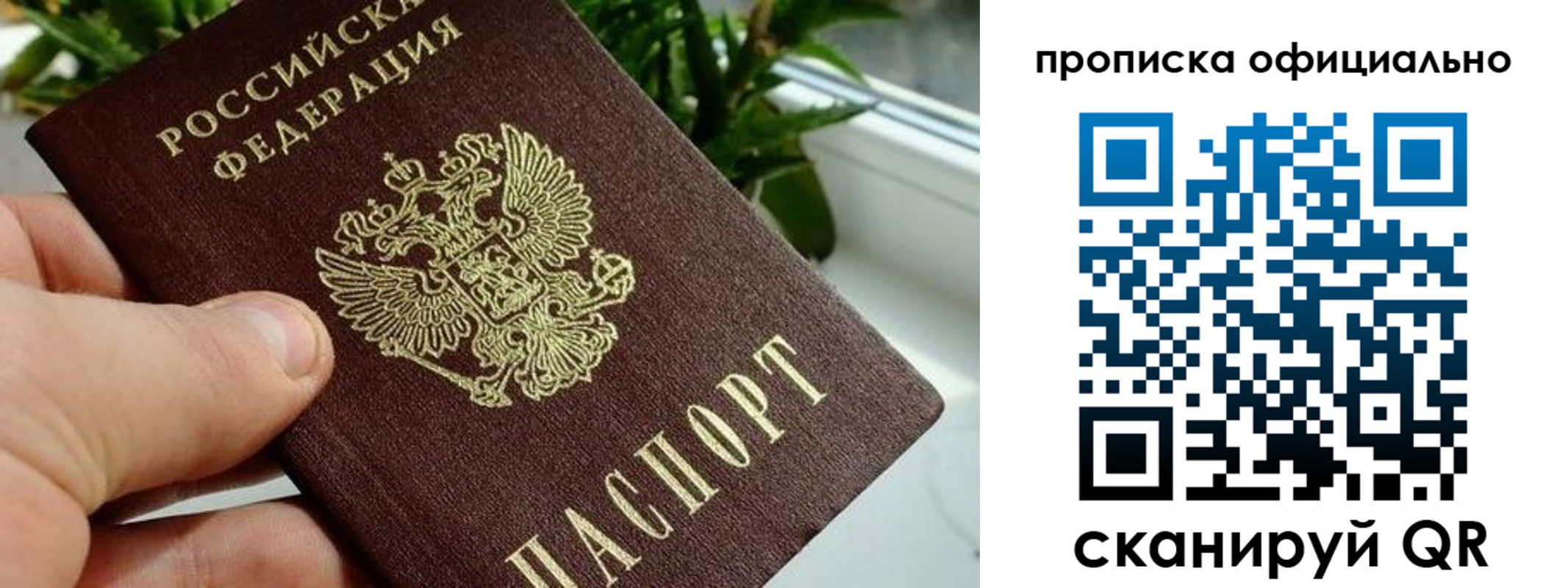 прописка поиск в Торжоке